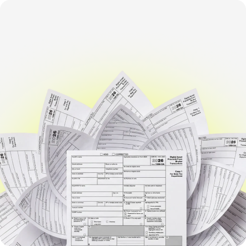 X Cover (1500x500)-2